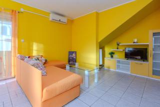 Apartments by the sea Vir - Lozice, Vir - 18593 - Vir - 2
