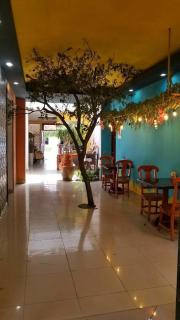 Hotel Aloha Managua - 2