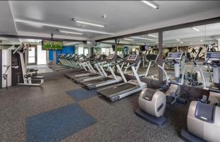 The Nest a Spacious 1 Bedroom Apartment with a Pool View - Los Angeles - 9