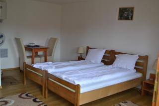 Vila Paula & SPA -ALL INCLUSIVE - 9