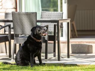 2 Bed in St. Mellion 87705 - St Mellion - 9