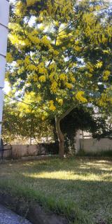 Marigeo Garden House - Paleo Tsifliki - 8