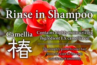 Kameari 1105 Budget Stay High Floor Near Station Mall Disney Access - 1