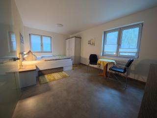 Ferienwohnung 1 barrierefrei - Schmiedefeld am Rennsteig - 8