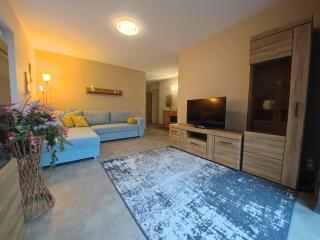 Ferienwohnung 1 barrierefrei - Schmiedefeld am Rennsteig - 6