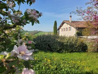 B&B La Ferme de Loubens - Loubens-Lauragais - 9