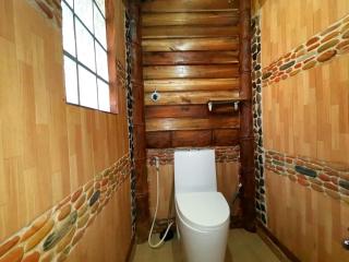 Forest wood-Port Barton - San Vicente - 4