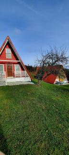 Kolorowe Wzgórze Zagórze - 3