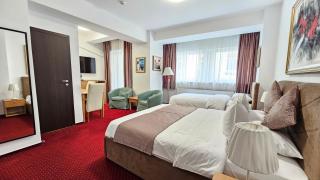Bucur Accommodation - Bucharest - 9