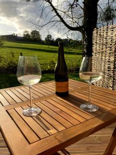Beautiful cabins in Herefordshire countryside - Hereford - 1