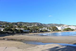 Bajo con piscina PLAYA LAS FUENTES Pet friendly Albert Villas - Alcossebre - 8