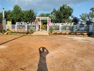 Homestay hichi - Ấp Tân Hà - 0