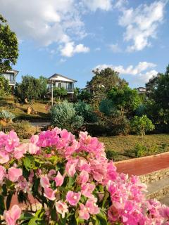 Homestay hichi - Ấp Tân Hà - 9