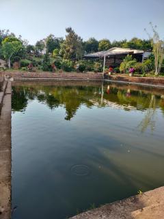 Homestay hichi - Ấp Tân Hà - 1