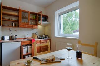Apartment Marketa - Pec pod Sněžkou - 4