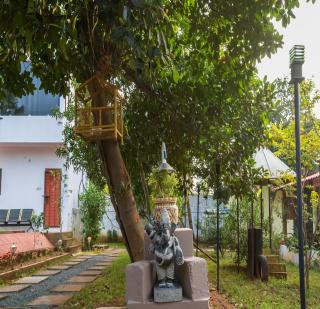 NTR Garden - Auroville - 9