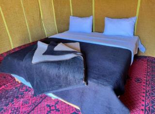 Standard Desert Camp - 9