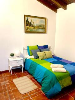 CASA RURAL PRIVADA BENADIZOS ÁVILA - 1