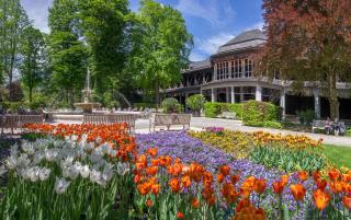 Galerie Hotel - Bad Reichenhall - 8