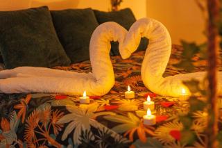 Gîte-Spa Nature - 1