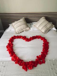 Hôtel Ulysse Montpellier Centre - Montpellier - 6