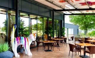 Europe Hotel & Casino All Inclusive - 2