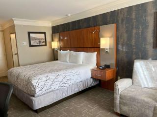 Best Western Plus Silver Saddle Inn - Estes Park - 7