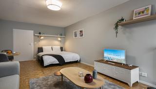 Richemont Residence by Homenhancement - Geneva - 1