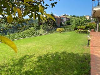 Casa nelle Langhe - Castiglione Tinella - 4