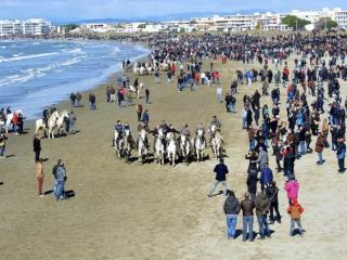 Studio Cabine 4 pers RDC avec Piscines, Terrasse, Proche Mer et Commerces - FR-1-307-36 - Le Grau-du-Roi - 4