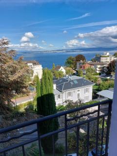 Le Mirabeau Vue Lac - Évian-les-Bains - 6