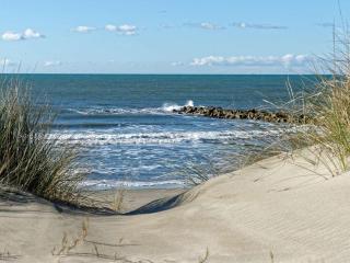 Studio Cabine 4 pers proche plage avec parking - FR-1-307-114 - Le Grau-du-Roi - 2