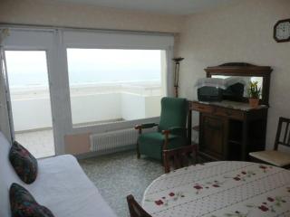 Appartement Front de Mer avec Terrasse - 2 Chambres, Animaux Acceptés - FR-1-674-16 - Berck-sur-Mer - 1