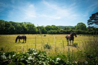 Tan Y Bryn - Llanrhystyd - 3