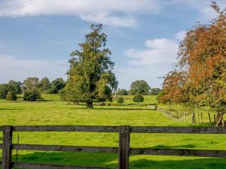 3 Bed in Kiplin 79275 - Great Langton - 3
