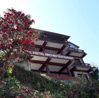 The Hotel Orchid & Restaurant - Kāskī - 5