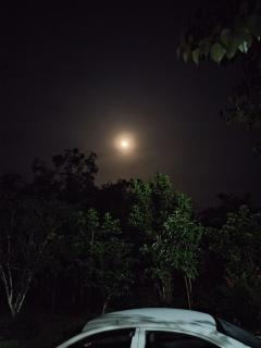 Amazonia lodge - - 3