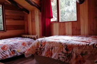 casona rustica ayalen - Curarrehue - 1