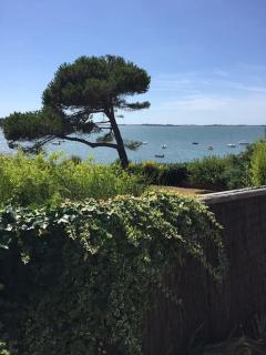 Meublé sur l'ILE DE TASCON à 300 m de la plage - Saint-Armel - 1