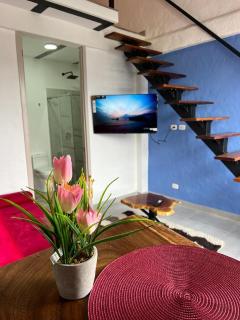 apartaestudio salento 6 - 9