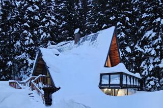 Alpine Modern A-Frame - Snoqualmie Pass - 2