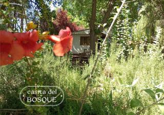 Casita del Bosque - Chacras de Coria - 8