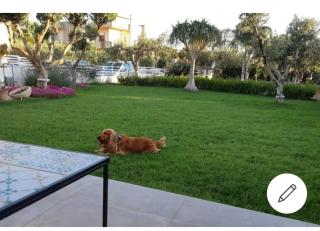 Villa Ninà- Kitesurf - 9