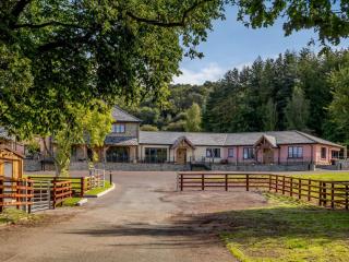 2 Bed in Usk 87949 - Trostrey - 8