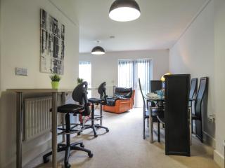 Tudors eSuites Private Garden and Netflix - Birmingham - 8