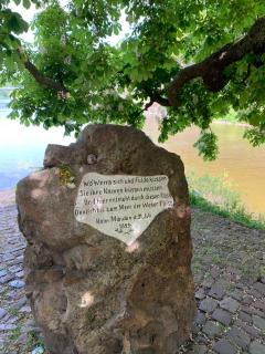 4- Sterne Ferienwohnung Dr Eisenbart - 3