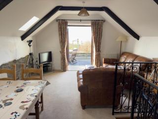 Crogal Stable - New Quay - 5