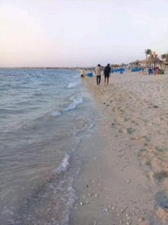 قرية النورس مكتب السعد - Ismailia - 0