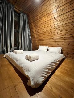 Gudauri Sikhaura - 9