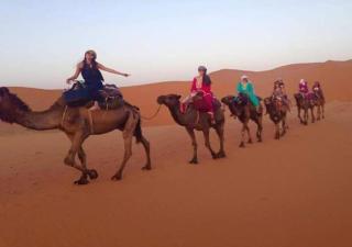 Desert Season Camp - 3